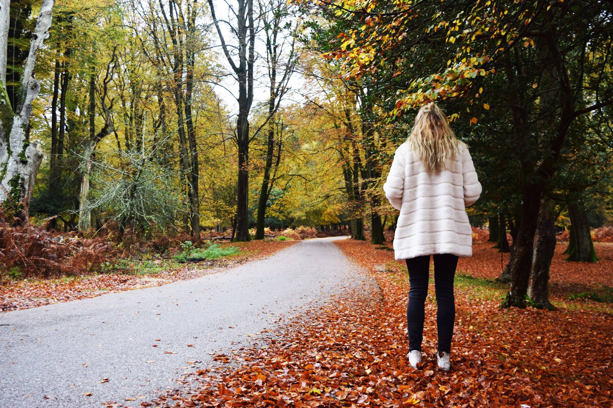 12207600_966262070101978_291903985_o