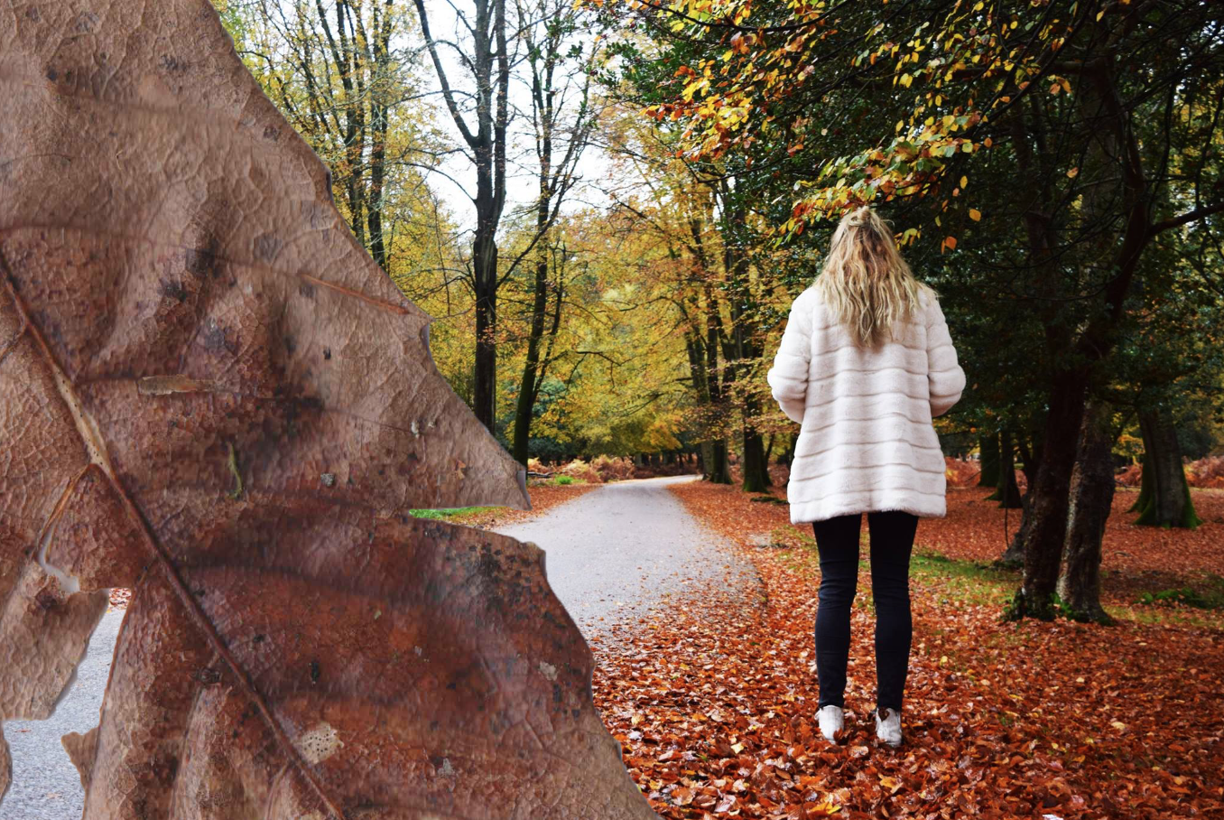 Screen Shot 2016-02-11 at 09.58.50