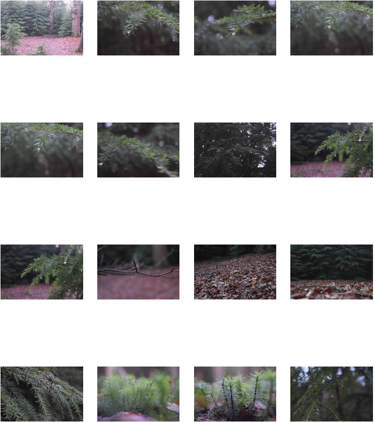 Screen Shot 2016-02-24 at 23.59.09