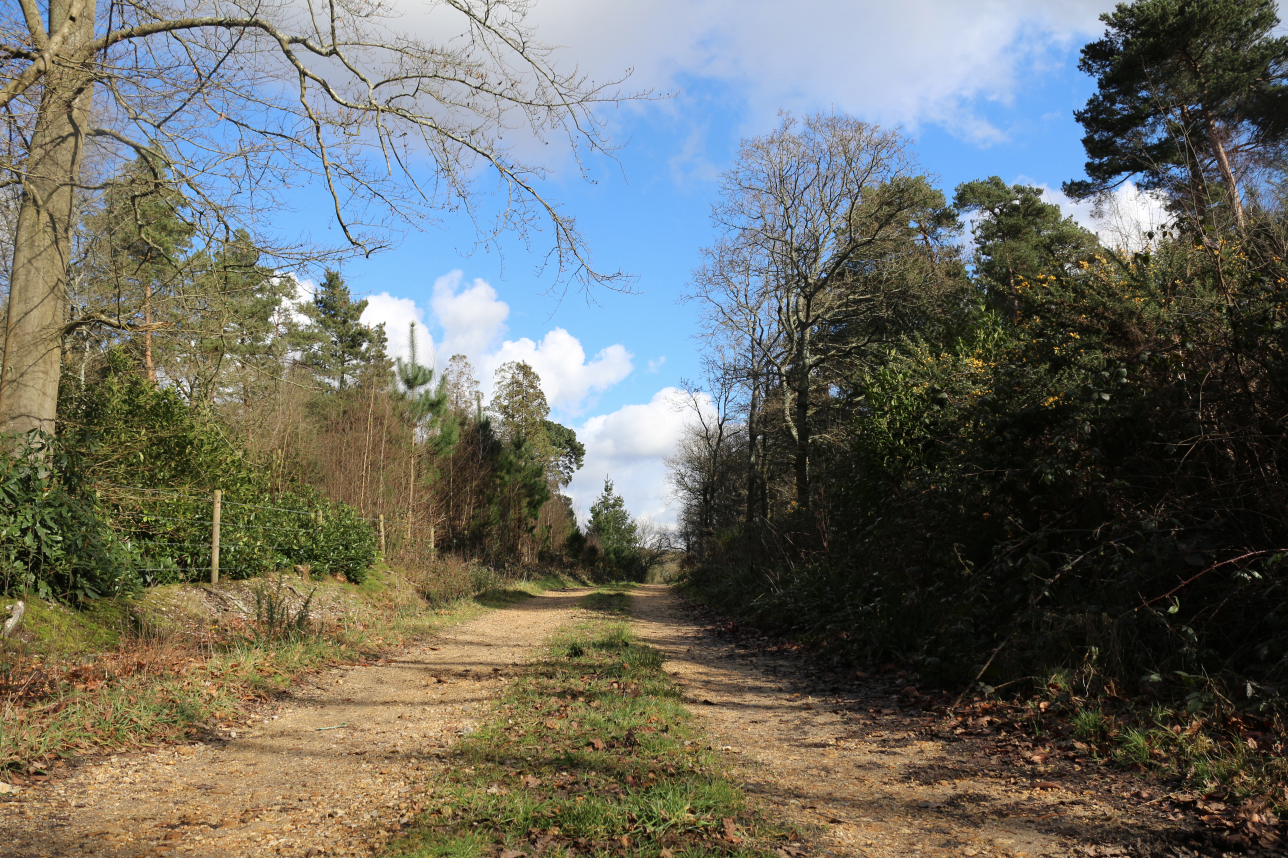 Screen Shot 2016-02-25 at 09.43.11