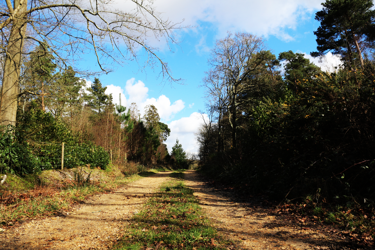 Screen Shot 2016-02-25 at 09.43.26