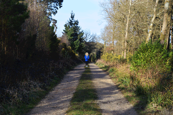 veryhighqualitybluecoat